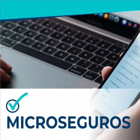 Seguros